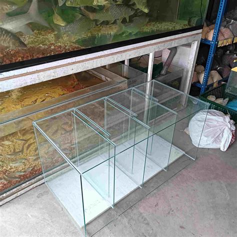 TOP 9 Kedai Aquarium Kuantan Terbaik