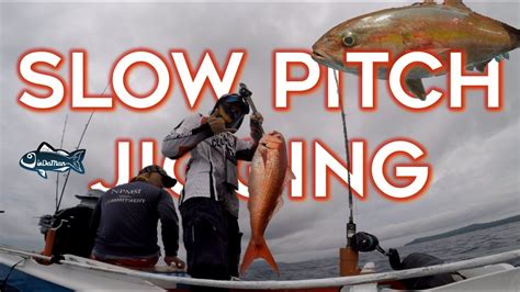 Slow Pitch Jigging Ruby Snapper And Amberjack Youtube