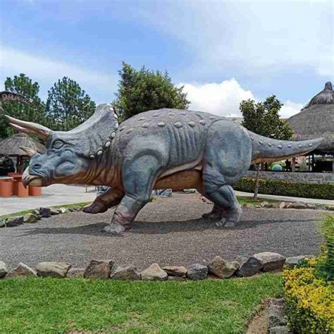 Dino Parque En Museo Interactivo El Rehilete Pachuca Hidalgo Glamping Y Camping México