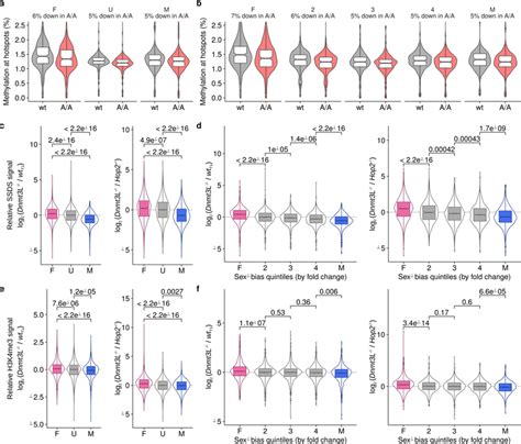 Extensive Sex Differences At The Initiation Of Genetic Recombination