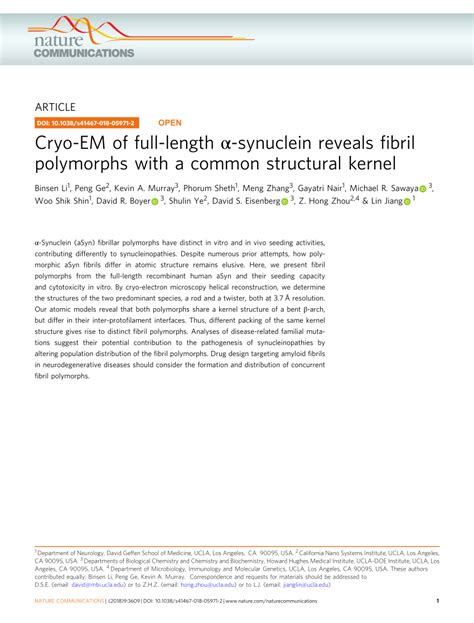 Pdf Cryo Em Of Full Length α Synuclein Reveals Fibril Polymorphs With