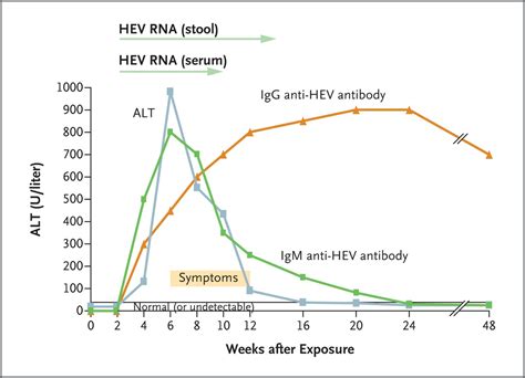 Hepatitis E Nejm