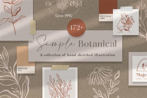 Simple Botanical Line Art Flowers Graphic by TempCraft · Creative Fabrica