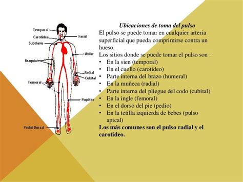 Una Vez Que Data De La Frecuencia Cardiaca Manualtiocest