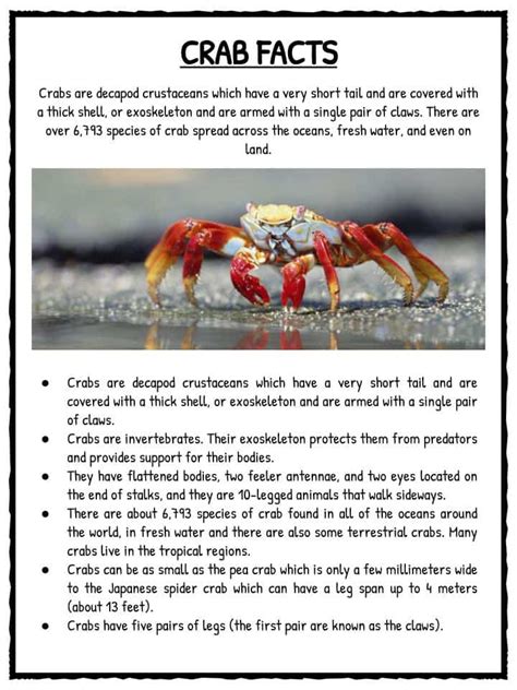 Crab Facts and Worksheets For Kids