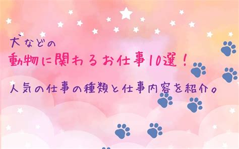 犬などの動物に関わるお仕事10選！人気の仕事の種類と仕事内容を紹介。 ドッグセラピストmamioの部屋