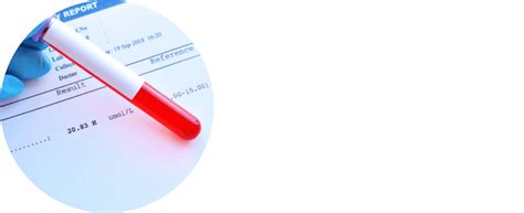 Com Quantas Semanas Pode Fazer O Exame De Sexagem Fetal