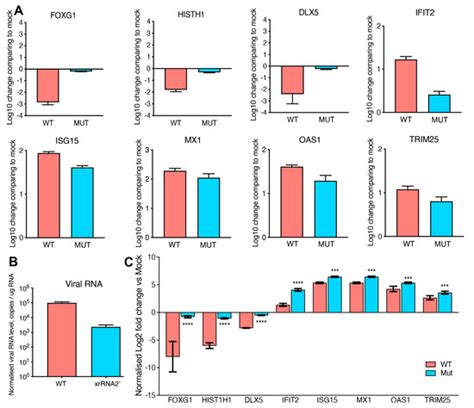 Viruses Free Full Text Noncoding Rna Of Zika Virus Affects