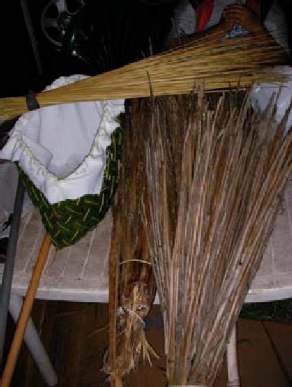 Traditional Samoan Palolo Fishing Gear A Levine 2007 Download