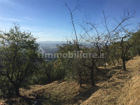 Terreno Agricolo Strada Provinciale Massa Cozzile E Macchino 8 Massa E