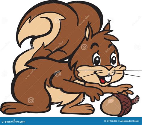 Squirrel With Nut Clip Art