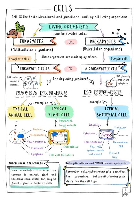 Topic Key Concepts In Biology Edexcel Ebook Individual Copy