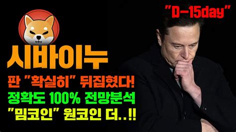 시바이누 긴급 정확도 100 전망분석 판이 뒤집혔습니다 4월 조정구간 15일안에 마무리된다 코인시황