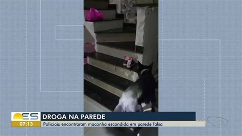 Vídeo mostra momento que cão policial encontra droga dentro de buraco