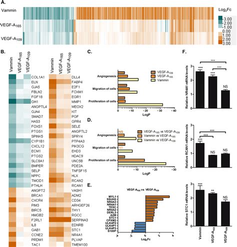 A Heatmap Of Fold Changes Log In Gene Expression Levels Between