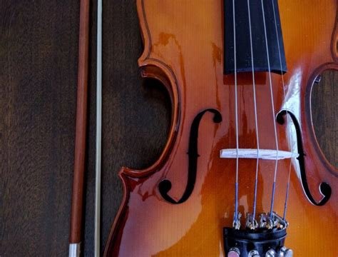 Consigli Violino Acquisto Marche Modelli Misura E Come Iniziare