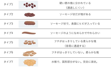 子どもの便秘 札幌市中央区の南22条おとなとこどものクリニック