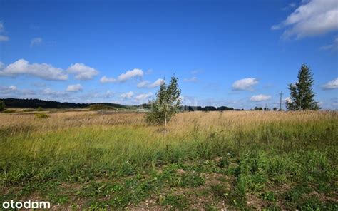 4 021 m² działka na sprzedaż Biała Woda suwalski podlaskie