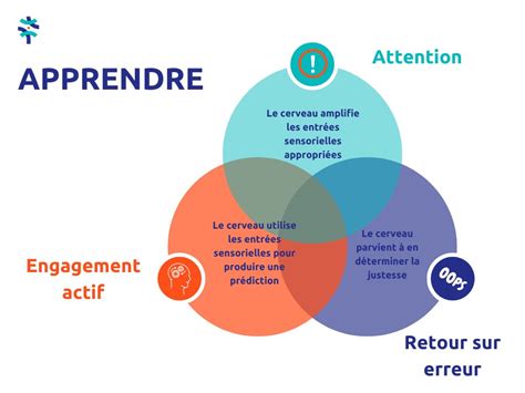 Comment Bien Apprendre Avec Les Neurosciences Pilier 3 EDUCAGILE