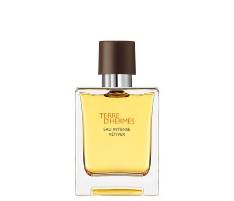 Bim Terre Dhermes Eau Intense Vetiver Edp 100 Ml Erkek Parfüm Fiyatı 2025