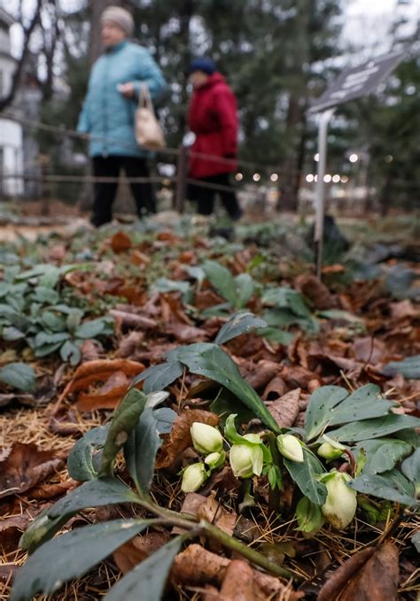'This is not our winter': Moscow temperatures hit 133-year high - The