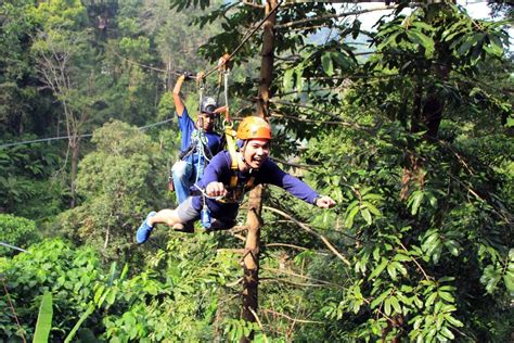 Zipline Adventure Phuket 30 Platforms On Tourmega Tourmega