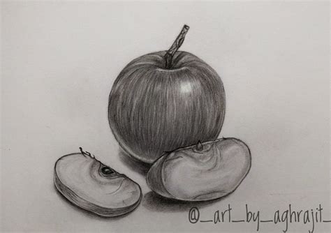 Realistic apple drawing | apple sketch | Drawing apple, Apple sketch, Drawings