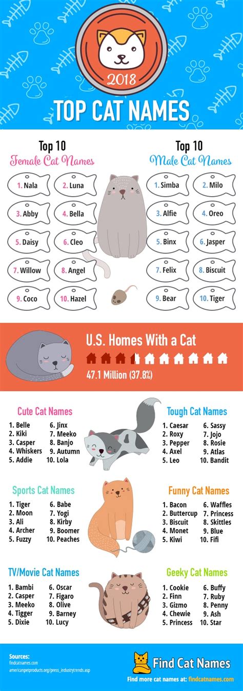 Top Cat Names of 2018