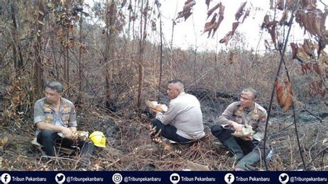 Marah Lihat Illegal Logging Hutan Dibabat Untuk Kebun Sawit Kapolda