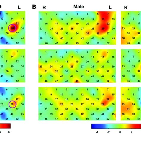 The Group Level Activation T Maps For All The Participants A And