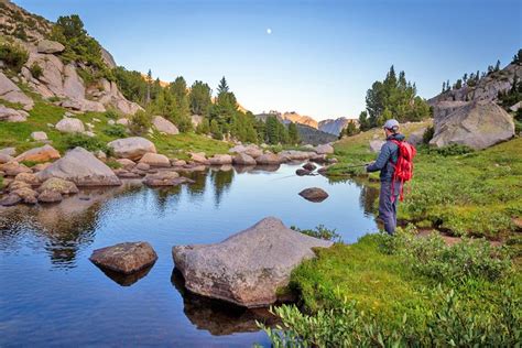 Best Fly Fishing In Wyoming - Unique Fish Photo