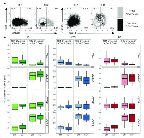 Th1 Cytokine Cells Express Low Levels Of Th1 Lineage Markers While