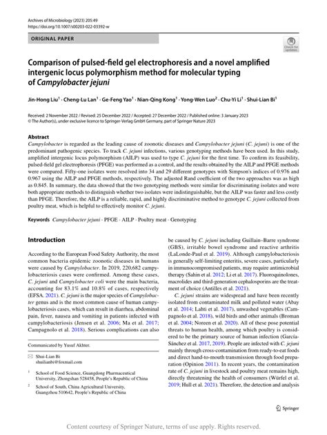 Comparison Of Pulsed Field Gel Electrophoresis And A Novel Amplified