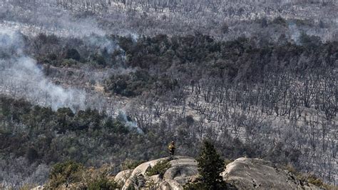 Apocalípticas Postales Del Incendio Forestal Más Grande De La Historia