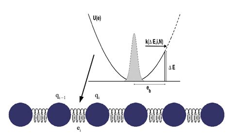 One Dimensional Chain Of N Monomers Connected By Harmonic Springs