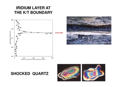 Ppt Extinction Powerpoint Presentation Free Download Id9309429