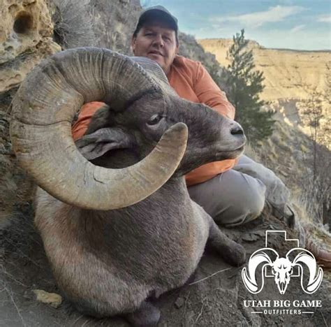 Desert Sheep Allout Guiding And Outfitting Trophy Bighorn Sheep Hunting