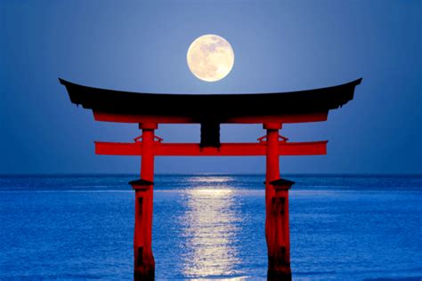 Does Japan Celebrate Lunar New Year? - TokyoTreat Blog