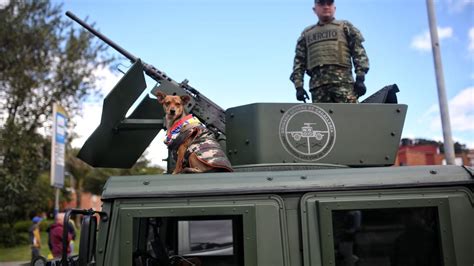 Video En Bogotá Así Fue El Tradicional Desfile Militar Del 20 De