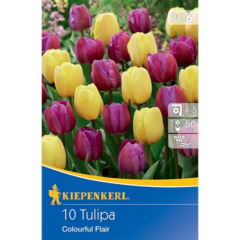 Kiepenkerl Tulpen mix Colourful Flair 10 Stück kaufen bei OBI