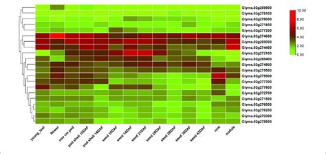 Heatmap Visualization Of Relative Gene Expression In Different