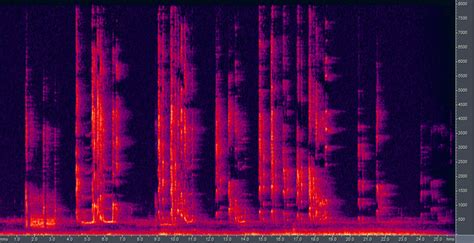 Sound Gallery Uau Hawaiian Petrel Natural Sounds Us National