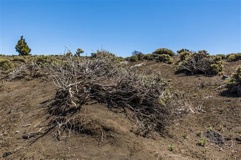 Volcano,canary islands,volcanic,spain,landscape - free image from ...