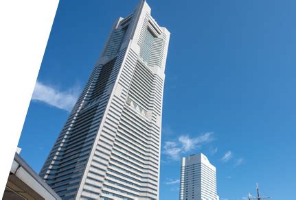 REINS international inc.