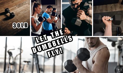 weights fly  epic lb dumbbell reviews    pumped