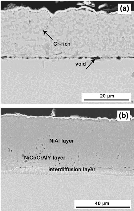 Cross Sectional Morphologies Of The Coatings A Ordinary Nicocraly