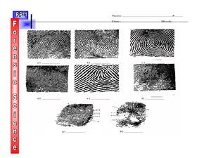 Fingerprint Comparison Wall Chart FC349 Forensi Tech Limited