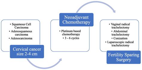 Neoadjuvant Chemotherapy Followed By Fertility Sparing Surgery In