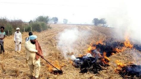 Delhi Pollution NHRC Blames Delhi UP Haryana Punjab For Stubble