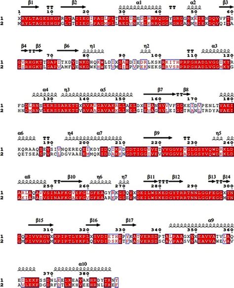 Sequence Alignment Of Chorismate Synthase Protein Sequence From L Download Scientific Diagram